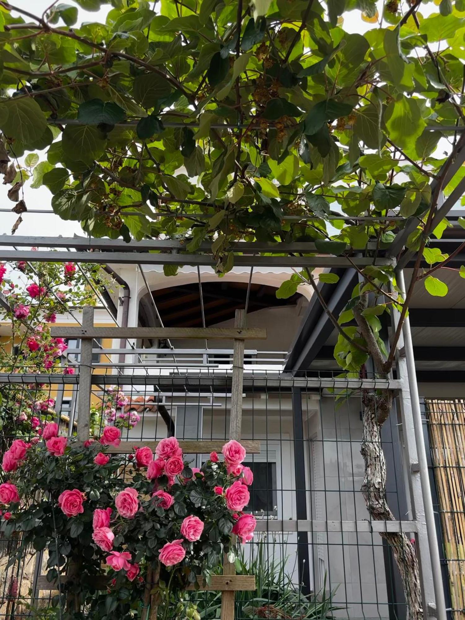 Apartmani Rozi Umag Exterior photo